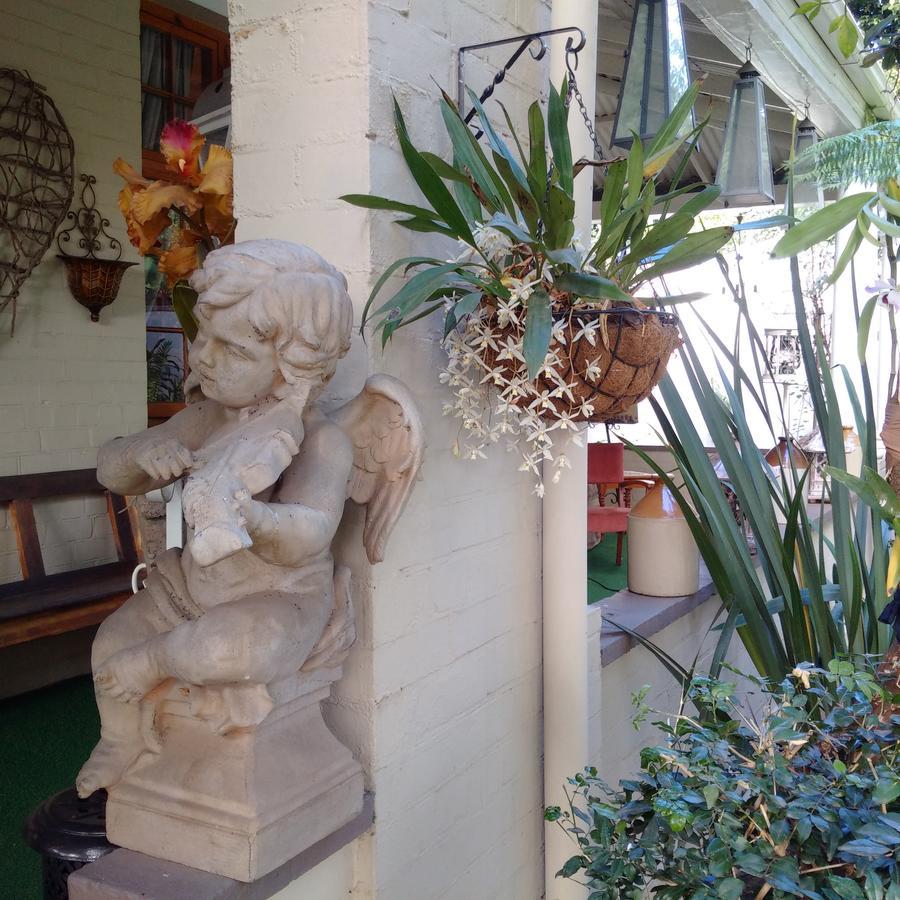 79 On Ridge Bed & Breakfast Pietermaritzburg Luaran gambar